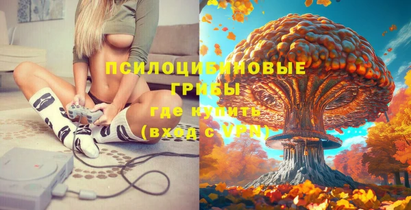 соль курить ск Абаза
