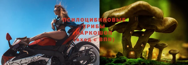 соль курить ск Абаза