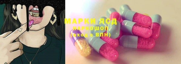 spice Алзамай