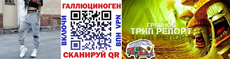 Псилоцибиновые грибы ЛСД Нерчинск