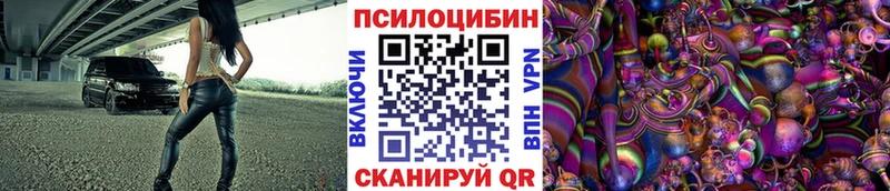 МЕГА зеркало  наркошоп  Нерчинск  Галлюциногенные грибы мицелий 